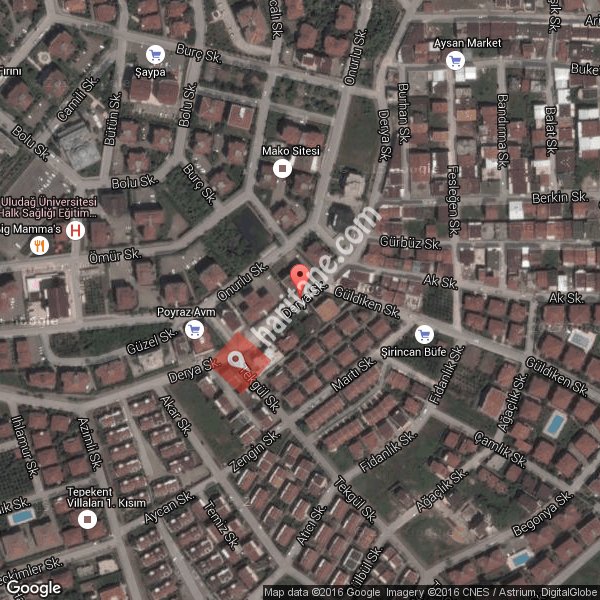 Kultur Mahallesi Haritasi Nerede Besevler Nilufer