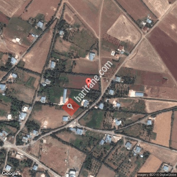 Ekinozu Koyu Haritasi Nerede Merkezkoyler Kovancilar