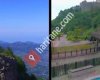ربيع طرابزون للسياحة والعقارات