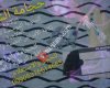 حجامة أنطاكيا