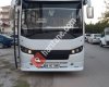 06 hc 3981