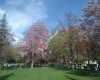 100. Yıl Atatürk Kültür Parkı