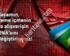 42 MASLAK