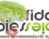 Abies Fidan