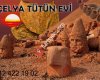 Açelya Tütün Evi