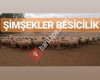 Adakçı OSMAN