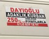 Adaklık koyun Kayseri