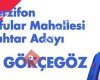 Adnan Gökçegöz