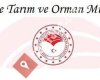 Afşin İlçe Tarım ve Orman Müdürlüğü