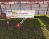 AFŞİN ORMAN  Şefliği