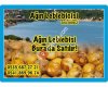 Ağın Leblebicisi