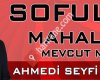 Ahmedi Seyfi Bayram