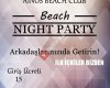 Ainos Beach Club