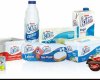 Ak Gıda San Ve Tic A Ş Pamukova Fabrikası Lactalis Türkiye