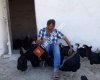 Akbulut Yumurtacılık