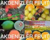 Akdenizler Company Ihracat Ithalat Insaat Turizm Emlak Ltd Sti