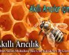 Akilli Aricilik  www.akilliaricilik.com