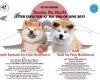 Akita Paradise Dog CLUB