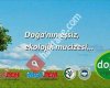 Akmesolidem