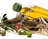 Aktaylar Zeytin Dinlenme Tesisleri