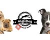 AktivDogTurkiye