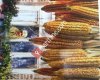 Akyazı /Sakarya
