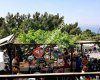 Alanya kale ,muhtarın yerı