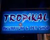 Alaşehir Tropikal Akvaryum Petshop