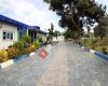 Alkan Beton Dekor