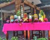 Altınoluk Kazdağı Hasat Zeytinyağları