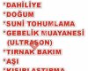 Altinordu Veteriner Kliniği