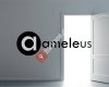 Ameleus.com