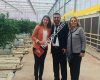 Amt Grup_Amt Tarım