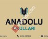 Anadolu Okulları