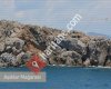Anamur Gazetesi
