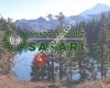 Anatolia Hunt Safari