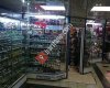 ANI Hediyelik Malatya