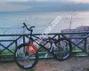 Antalya Ekstrem Bike Shop