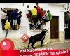 Antalya Kurbanlık Adaklık ve Kesim İşlemleri  - Tekinler Besi Hayvancılığı