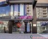Antdeco Wallcoverings İthal Duvar Kağıtları