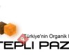 Anteplipazari