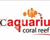 Aquarium Coral Reef City