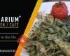 Aquarium Kitchen & Cafe /Marmaris
