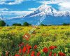 Aralık,Iğdır - Aralık