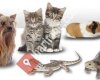 Arda Pet Shop Online