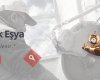 Arı Onyx