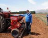 Arican Tarmak