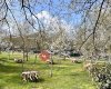Aşgana Garden