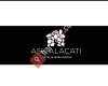 Aşk Alaçatı Coffee & Wine house