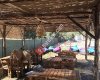 Assos Kuzey Ege Camp- Caravanpark